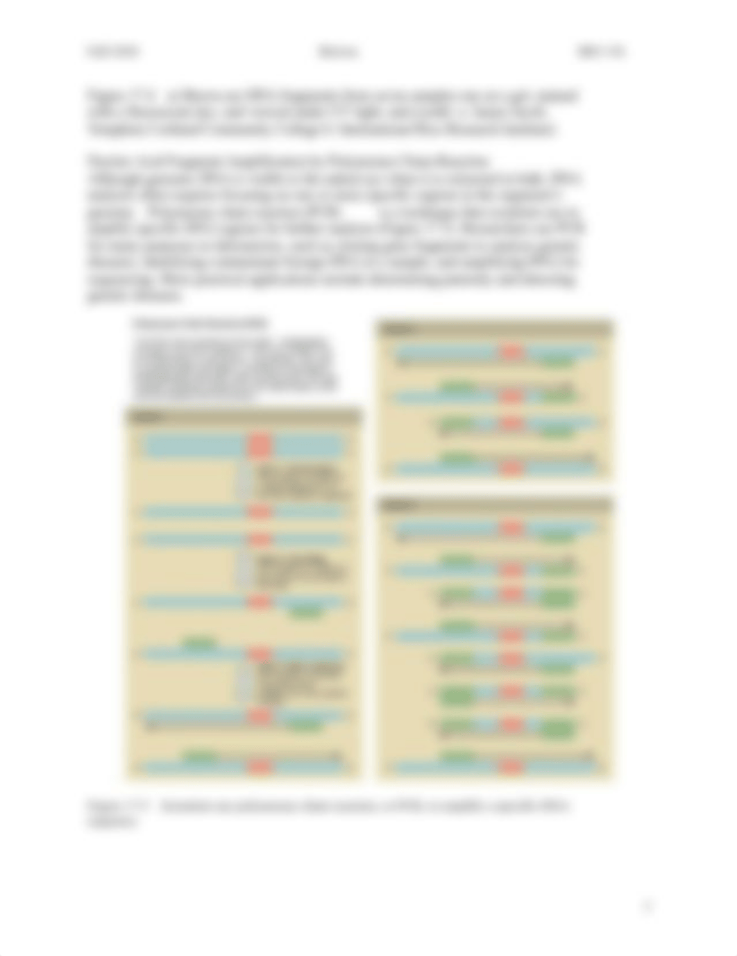 Lab 9- DNA Fingerprinting online Lab due.docx_d0b20o8093v_page3