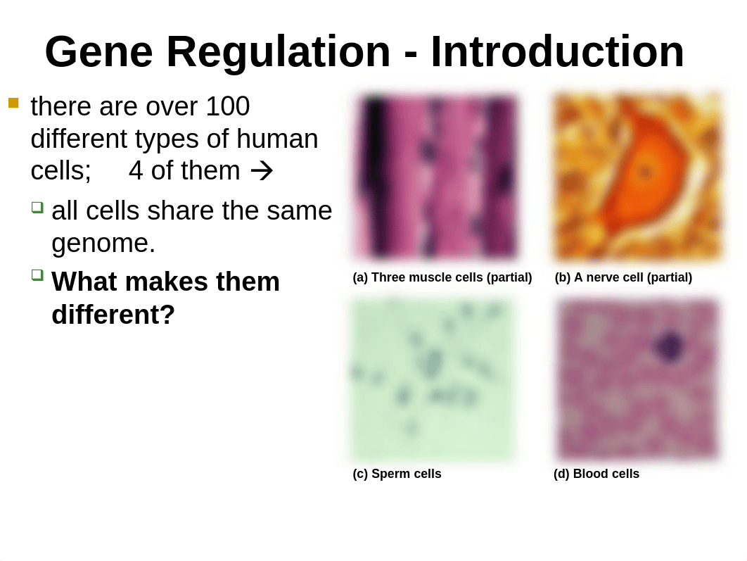 Bio 181-Ch. 18short- Gene Regulation.ppt_d0b93ua71cf_page2