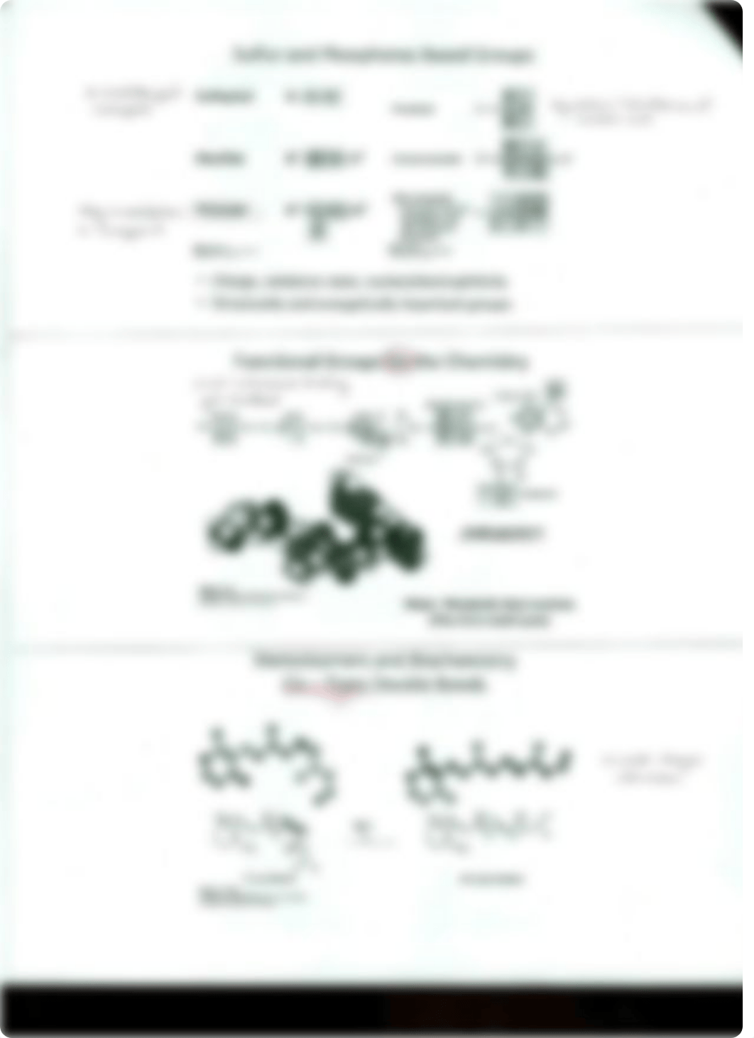 Principles of Biochemistry_d0bagfpavfx_page4