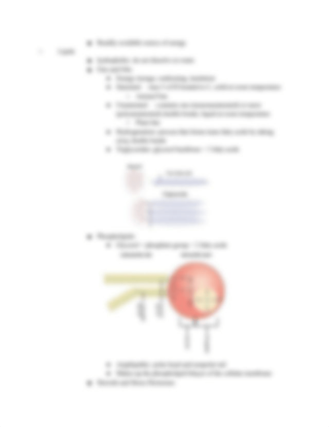 Bio 122 Notes _).pdf_d0bajestn8r_page4