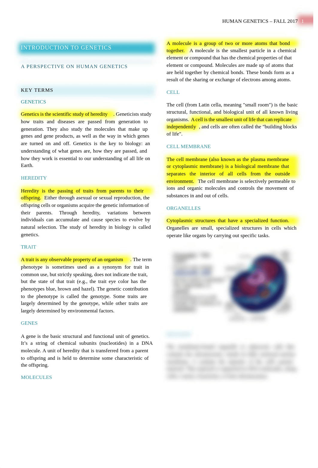 Human Genetics - Introduction to Genetics.pdf_d0bb83h6y07_page1