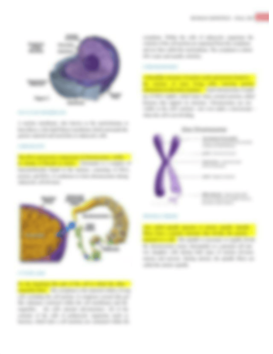 Human Genetics - Introduction to Genetics.pdf_d0bb83h6y07_page2