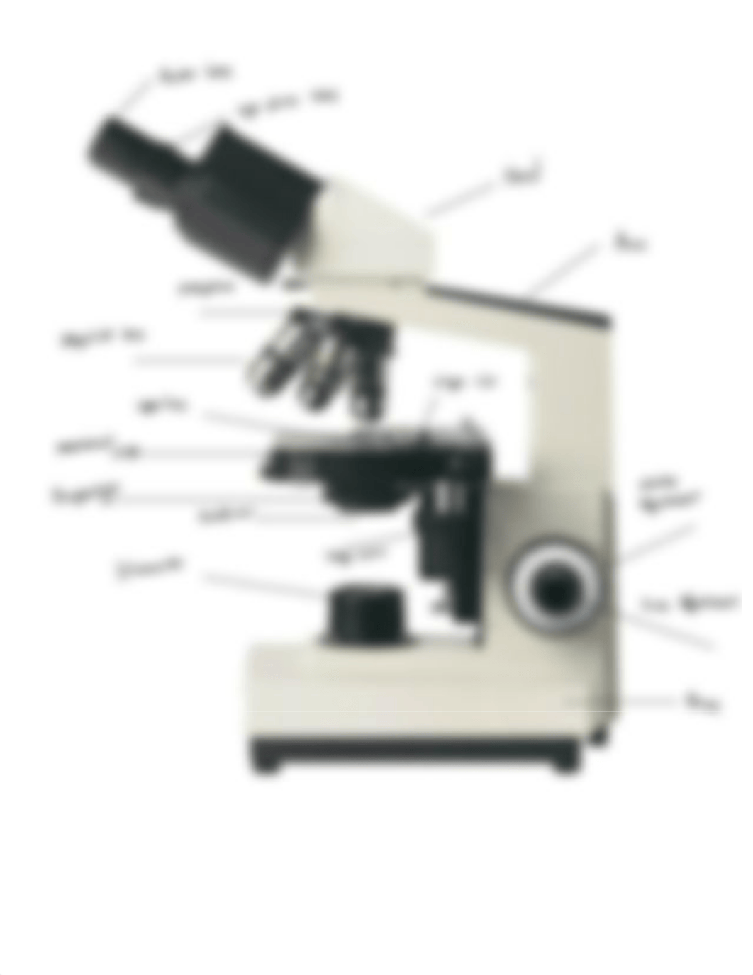 Lab exam 1 review Guide.pdf_d0biox3yvkp_page3