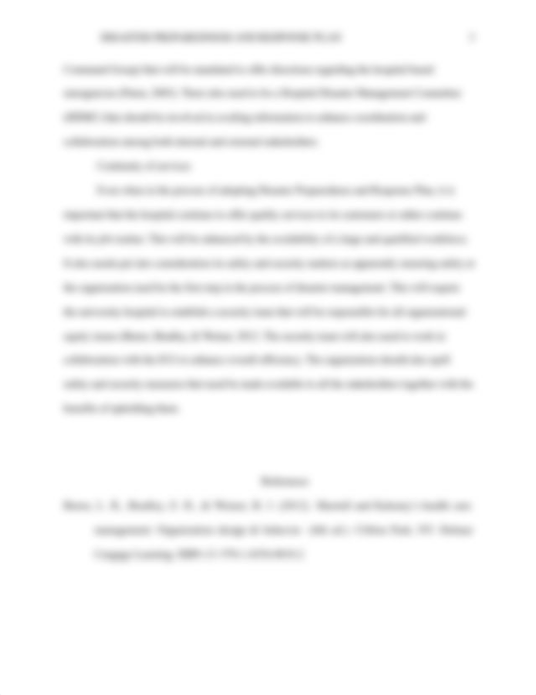 Disaster Preparedness and Response Plan.docx_d0bodh78e0z_page3