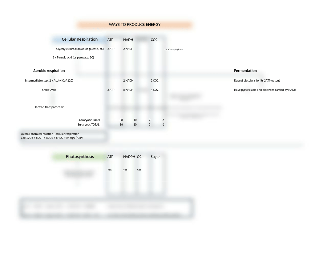 Microbial Metabolism Flow Chart (982834).xlsx_d0bt947k01z_page1