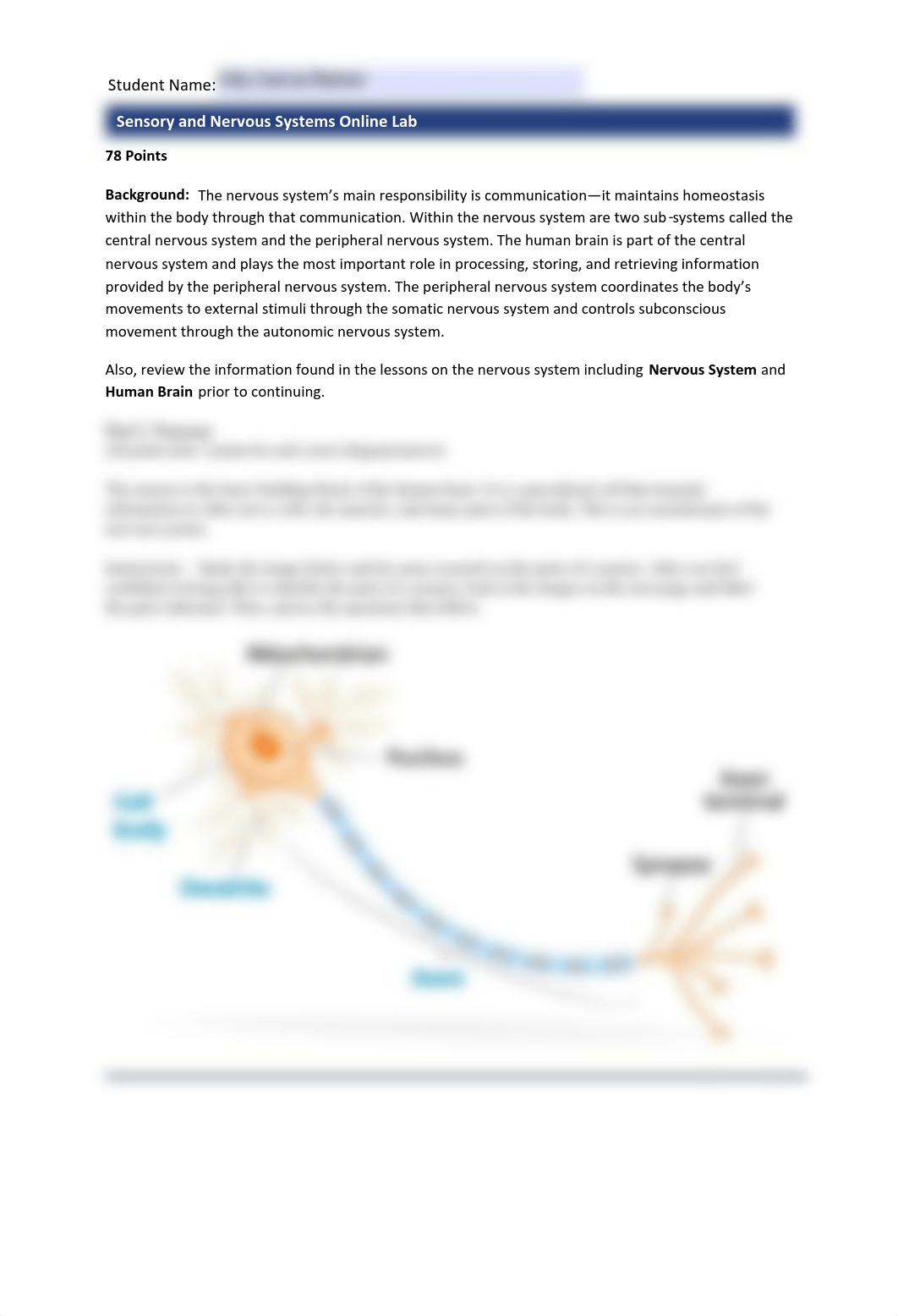 7.7_SensoryAndNervousSystemsOnlineLab_worksheet.pdf_d0bwho7ad5w_page1