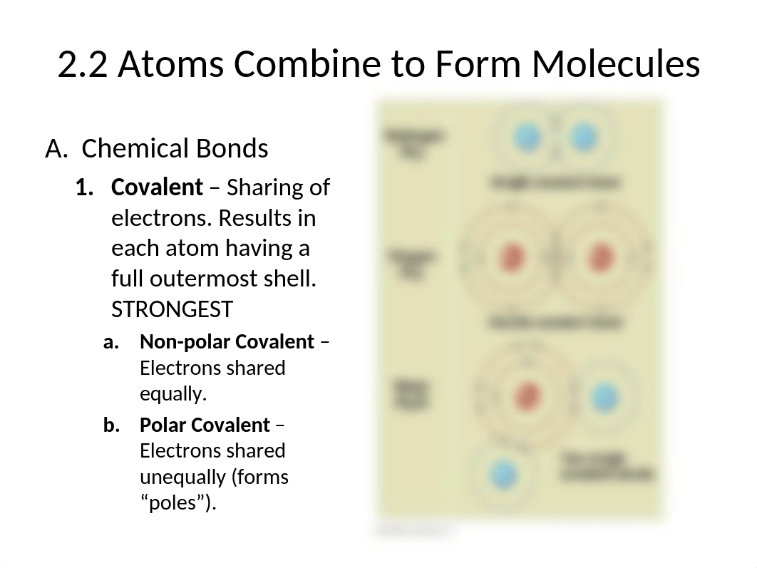 CH2 The Chemistry of Living Things(1)_d0bwvtji0u6_page4