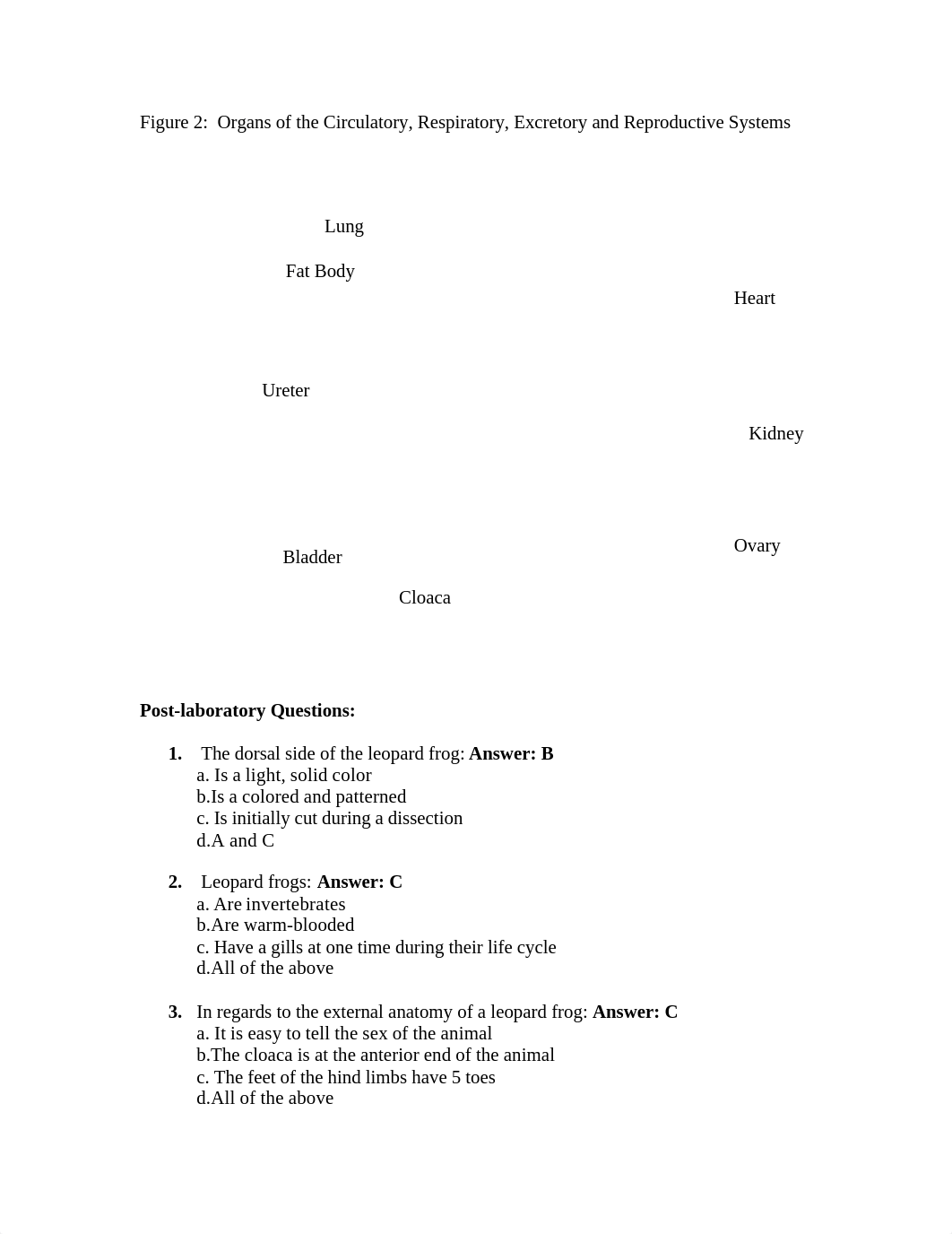 FrogLab.doc_d0c1738bdag_page2