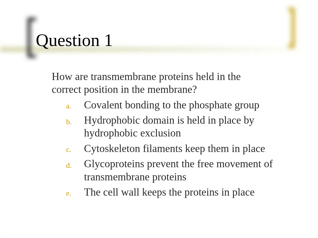 Chp 5 review questions.ppt_d0c8ugj92jc_page1