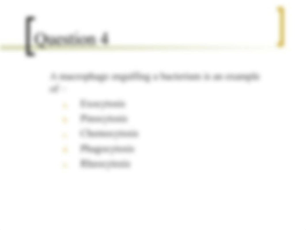 Chp 5 review questions.ppt_d0c8ugj92jc_page4