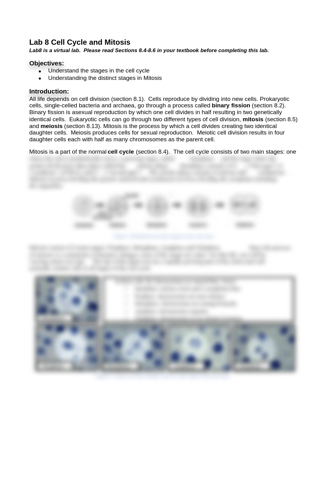 Lab 8 - Cell Cycle and Mitosis.pdf_d0cf68rv1ha_page1