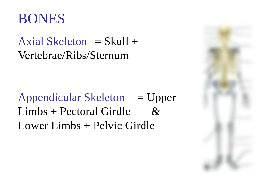 skeleton labeled.ppt_d0cjyqgfsix_page1