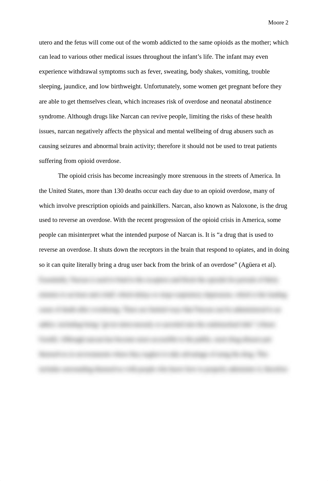 Persuasive Essay_d0d2jkr96vw_page2