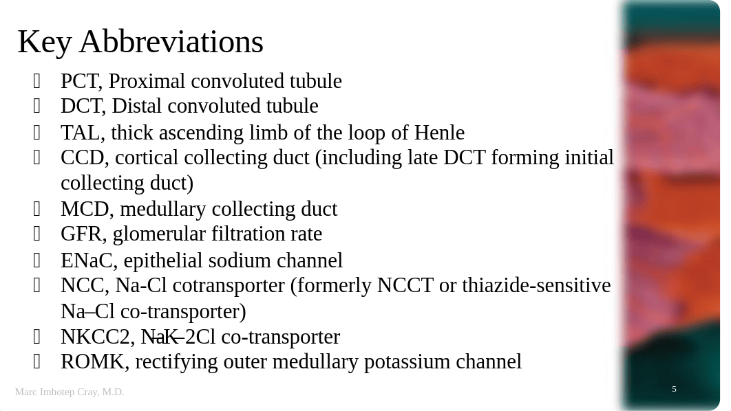 Clinical Pharmacology of Drugs Used to Affect Renal Function.pdf_d0d65xr6839_page5