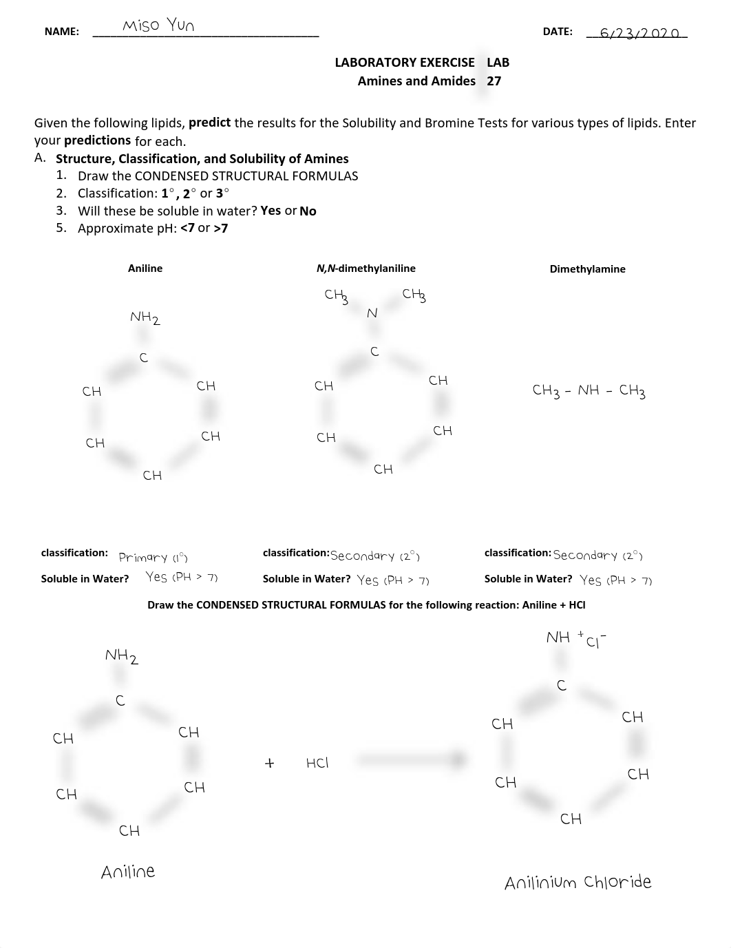 Amines and Amides 27 Virtual.pdf.pdf_d0d6lsc1o4p_page1