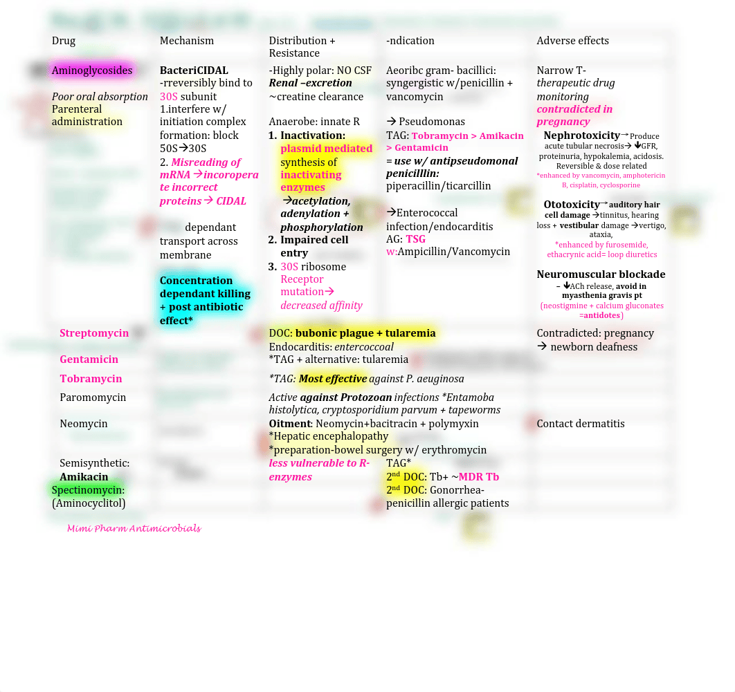 4-Protein Synthesis inhibitors_d0d9g9pd04u_page1