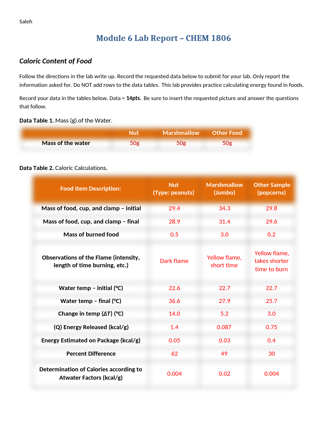 Saleh lab 6.docx_d0d9oro9xri_page1