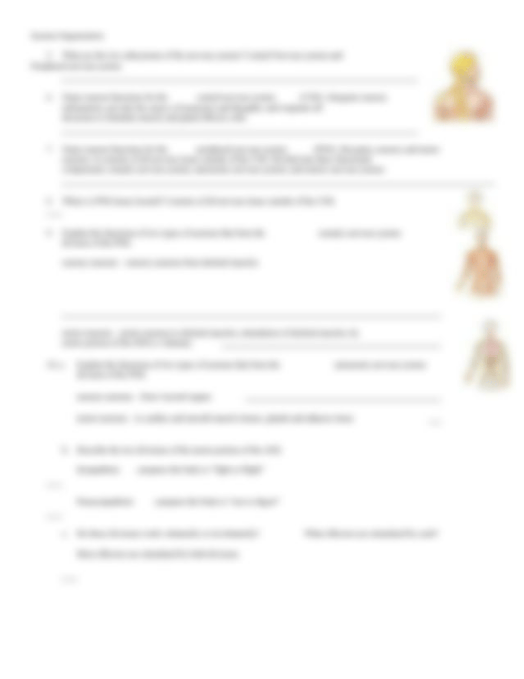 Intro to structure and function of the nervous system.doc_d0di76ia4d7_page2