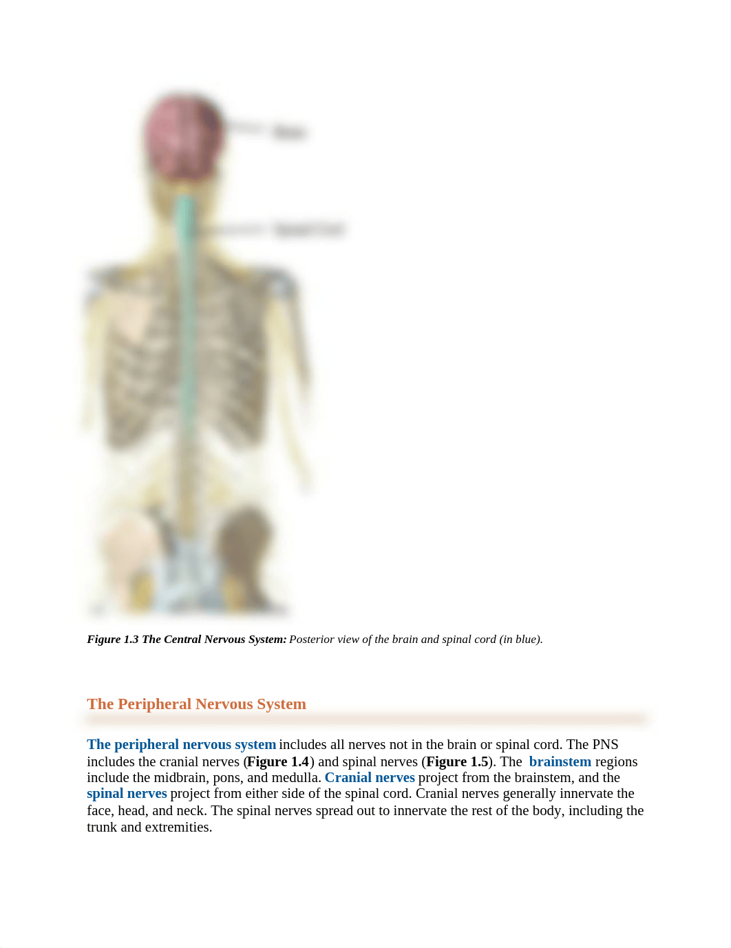 Module 1 - Nervous System.docx_d0diq372gd5_page3