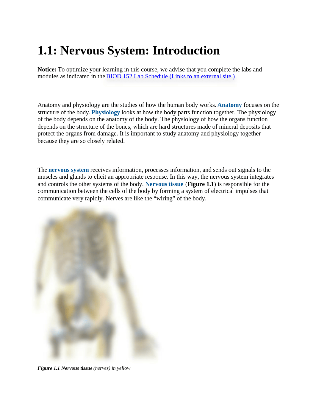 Module 1 - Nervous System.docx_d0diq372gd5_page1