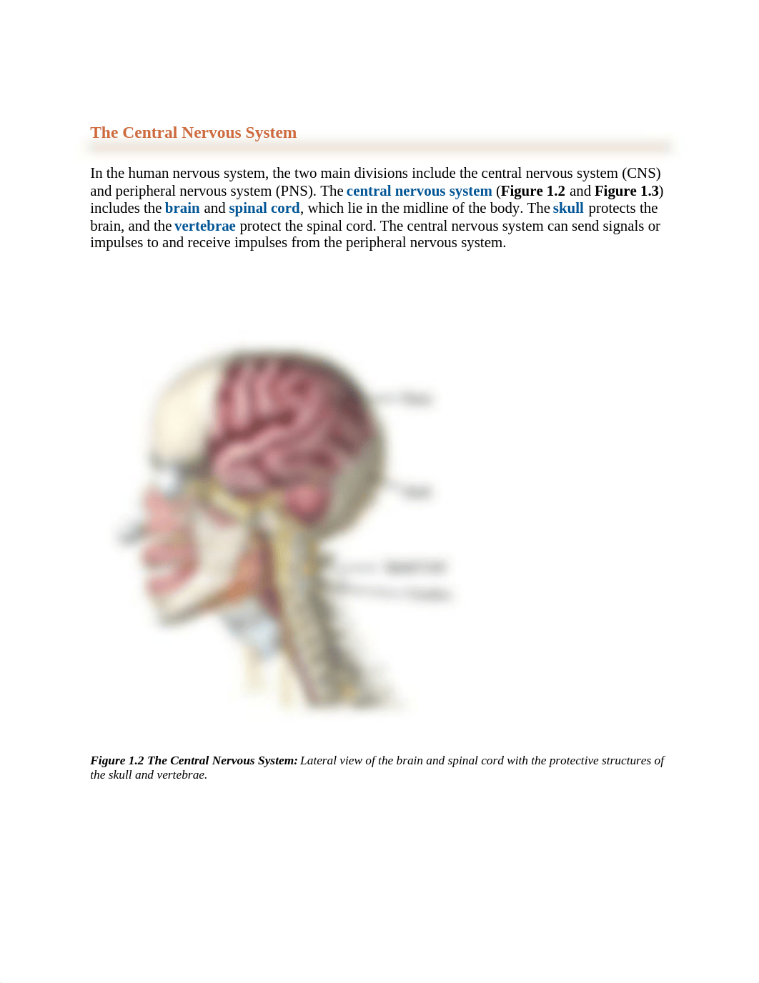 Module 1 - Nervous System.docx_d0diq372gd5_page2