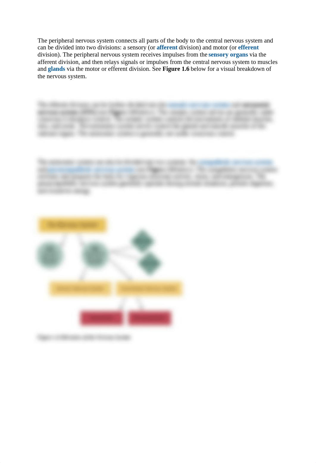 Module 1 - Nervous System.docx_d0diq372gd5_page5