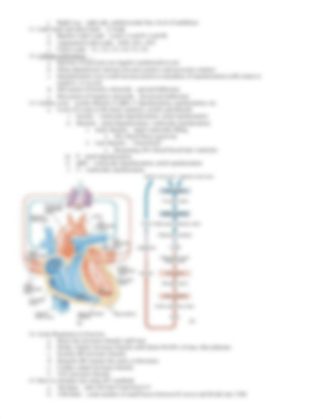 Clinical Final Study Guide_d0dn50u9irp_page3