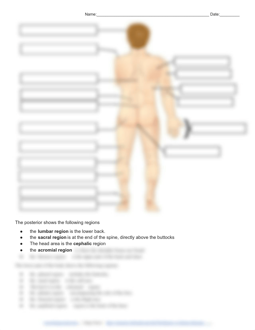 Body Regions Labeling.pdf_d0dsp4thcgn_page2