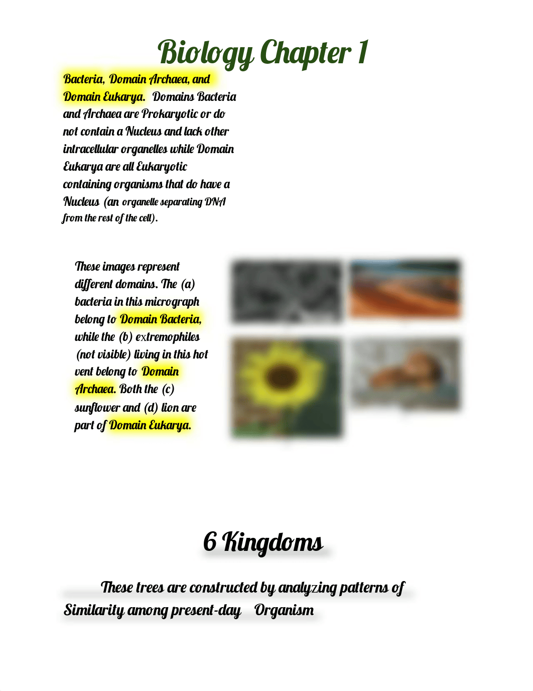 ch1 biology .docx_d0e2rct5vpv_page2