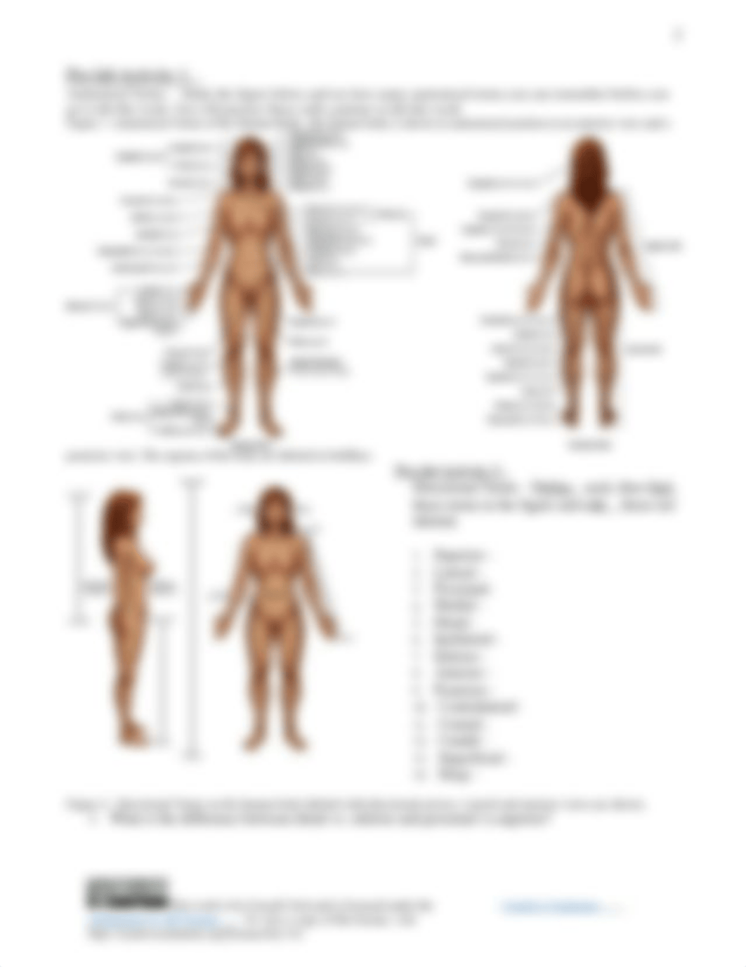 Lab 1 Pre-Lab Anatomical Terms Lab - Introduction to Anatomy-1.docx_d0e2vu3pmus_page2