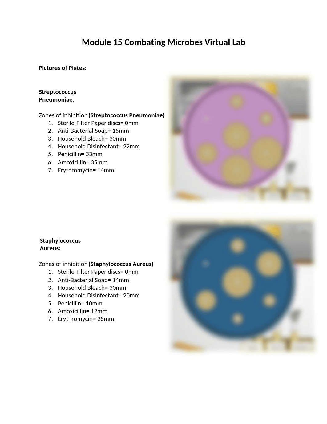 Module 15 Combating Microbes Virtual Lab.docx_d0e3o4xdq9k_page1