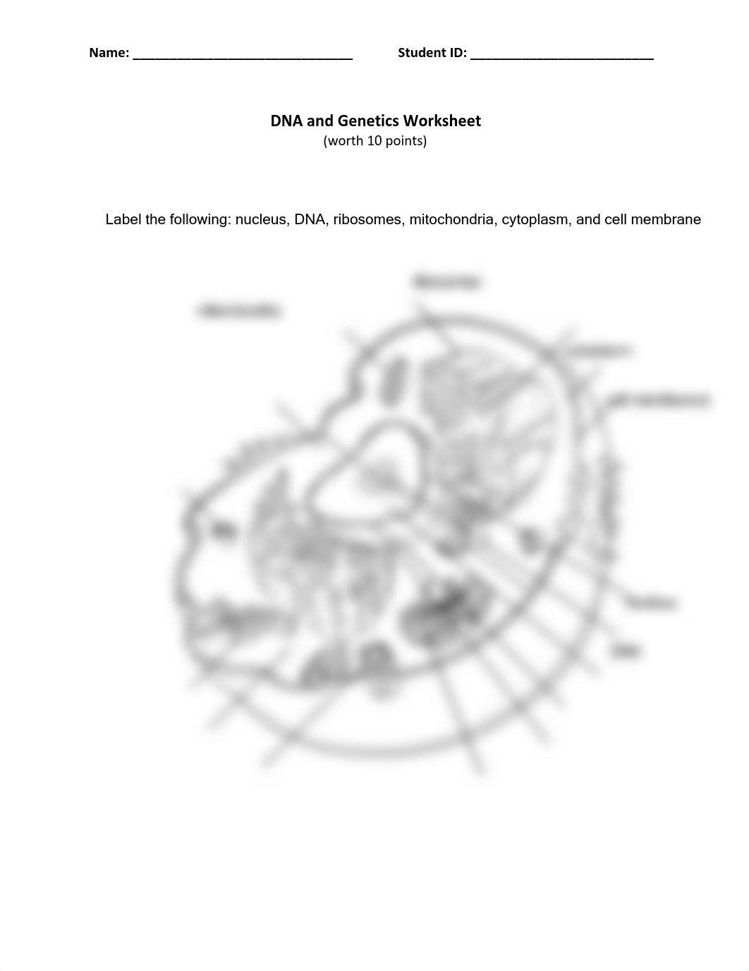 DNA and Genetics Worksheet.pdf_d0ebjsjznbz_page1