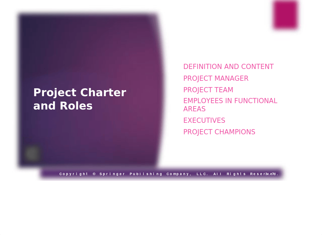 Project Charter and Gantt Chart (1 of 2).pptx_d0efsozui6v_page5