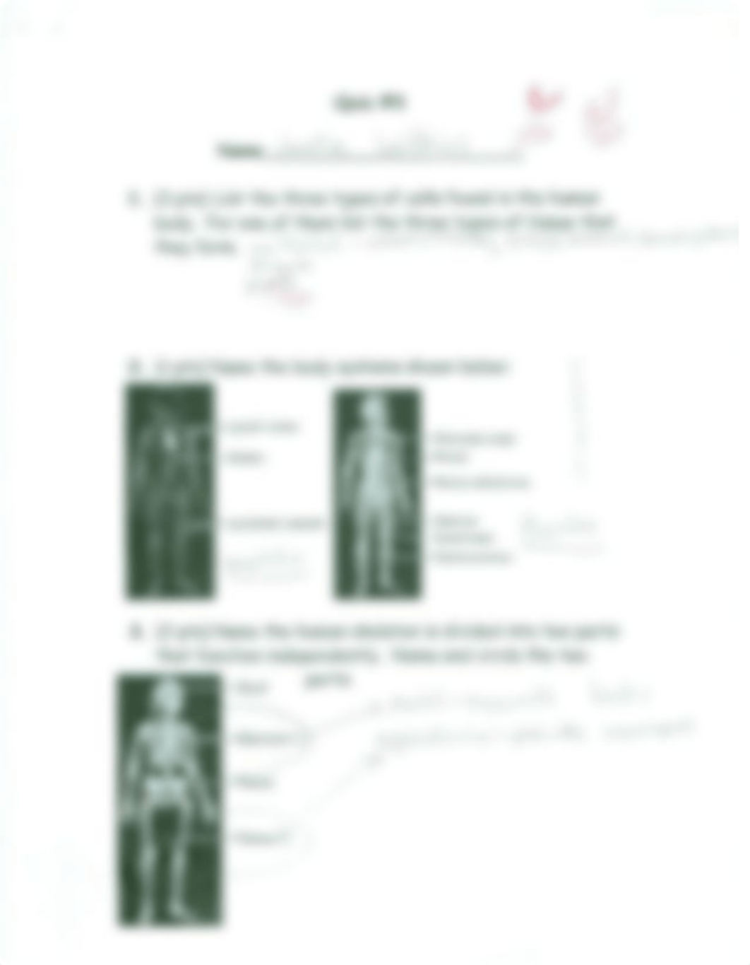 Mitosis & DNA Quiz_d0ejl5uadct_page5