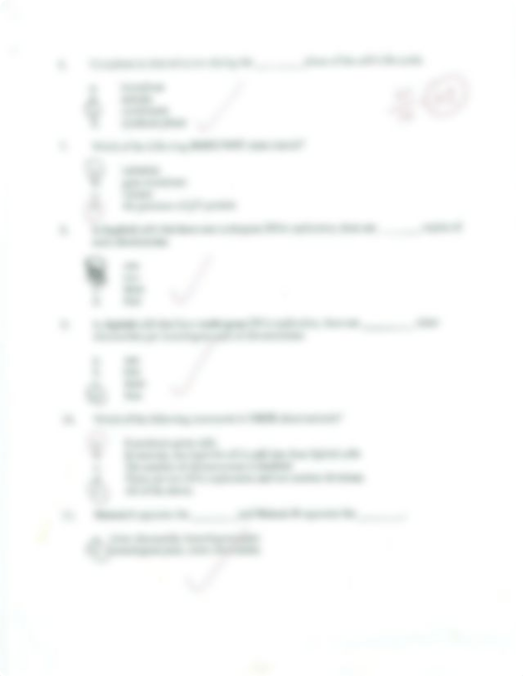 Mitosis & DNA Quiz_d0ejl5uadct_page2