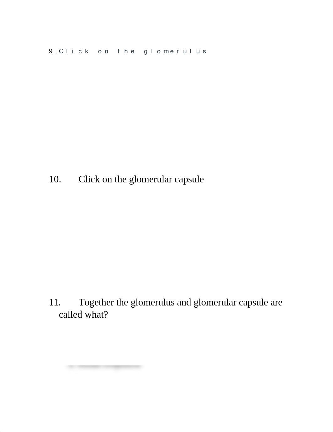 A & P Lab Quiz 9 Urinary System.docx_d0eo8jnw912_page4