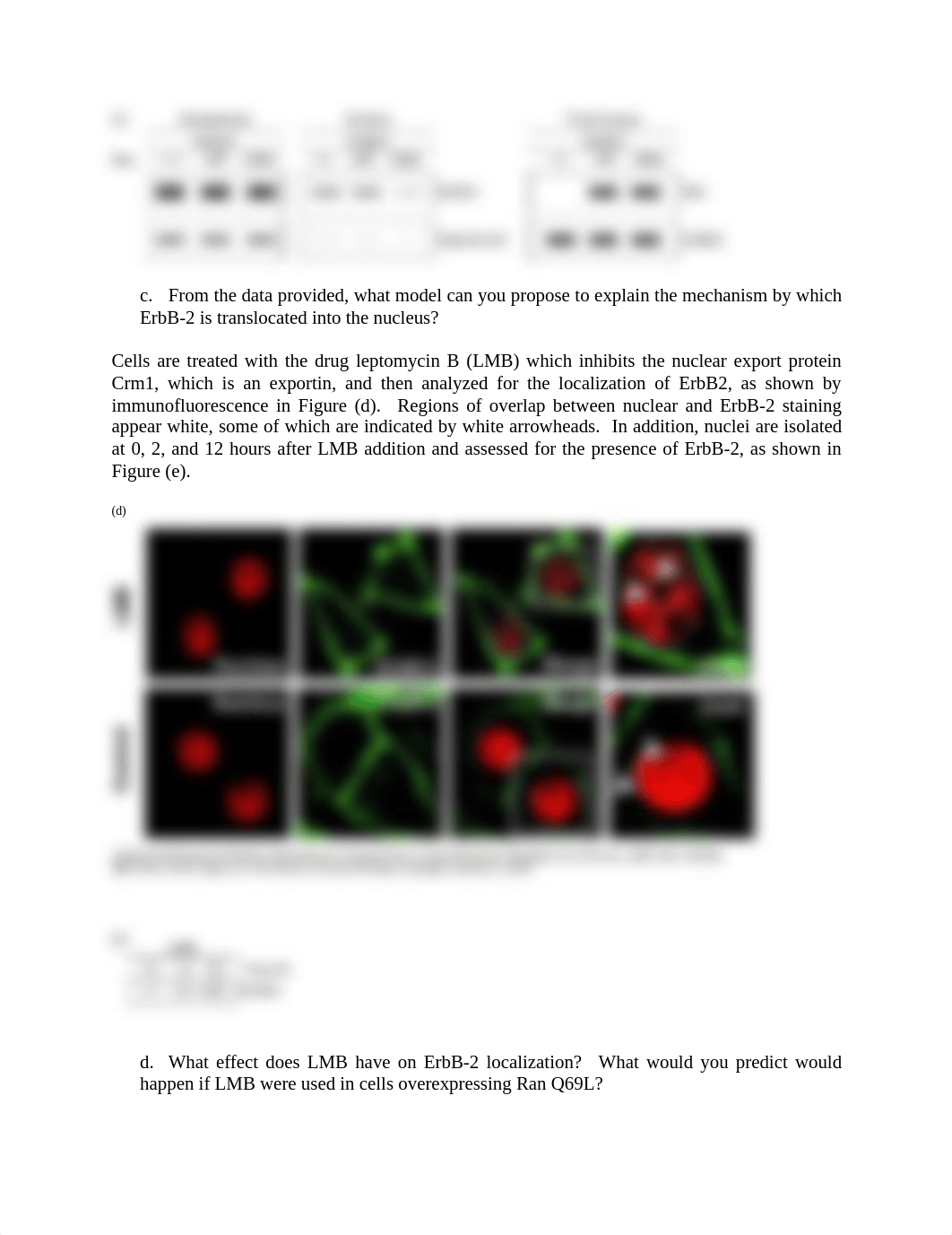 Data Analysis - 4.pdf_d0etcu9mqwg_page2