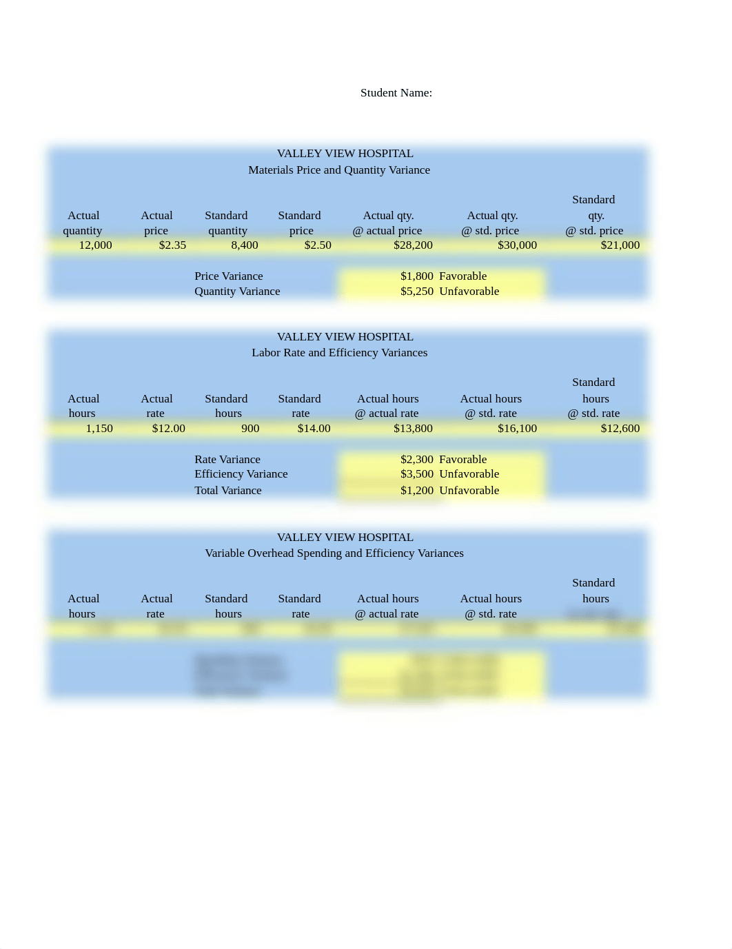 Valley_View_Hospital_Variances.xlsx_d0evv5qw40n_page1