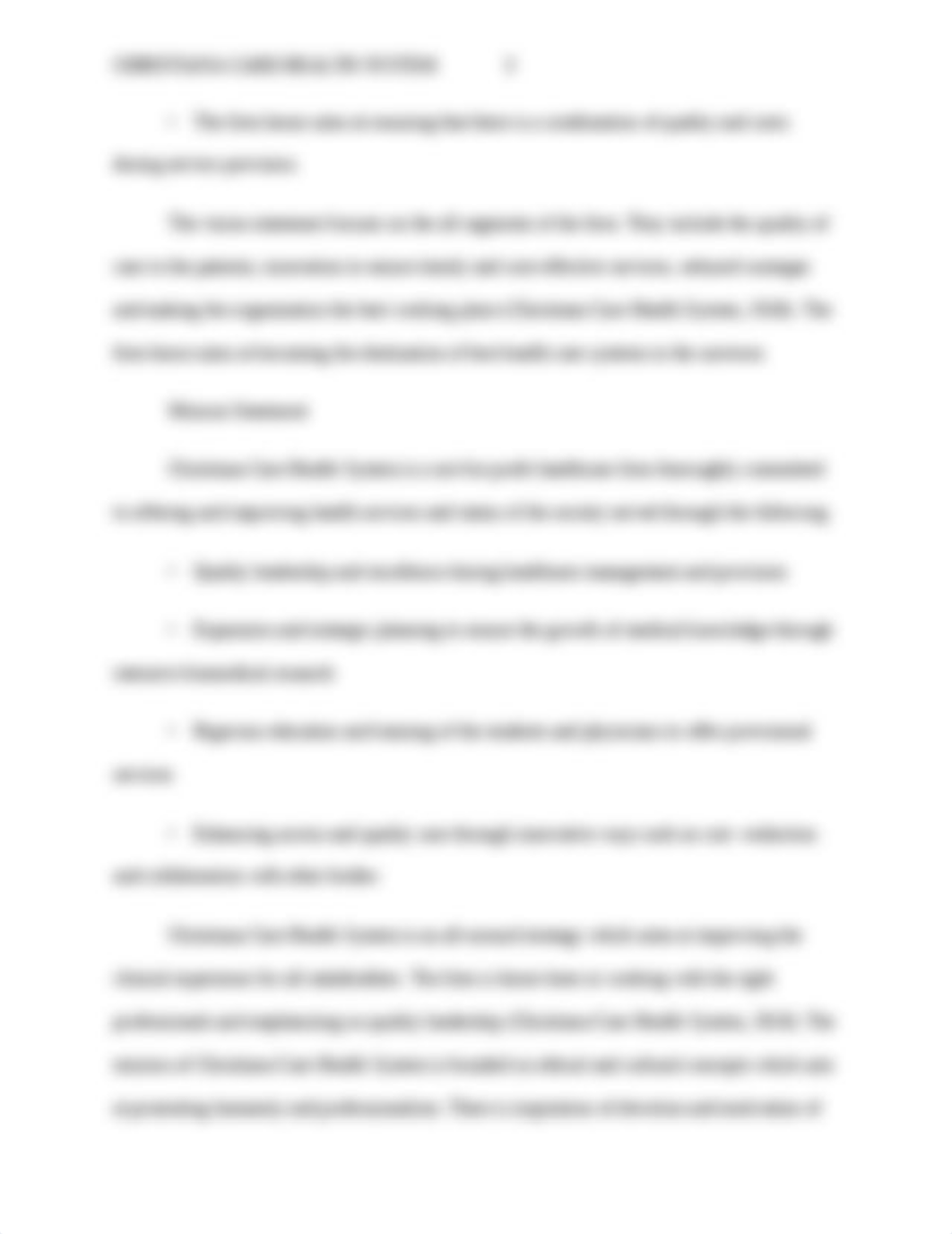 LP1 Assignment Introduction to Business Strategy.doc_d0ez040wrgg_page3