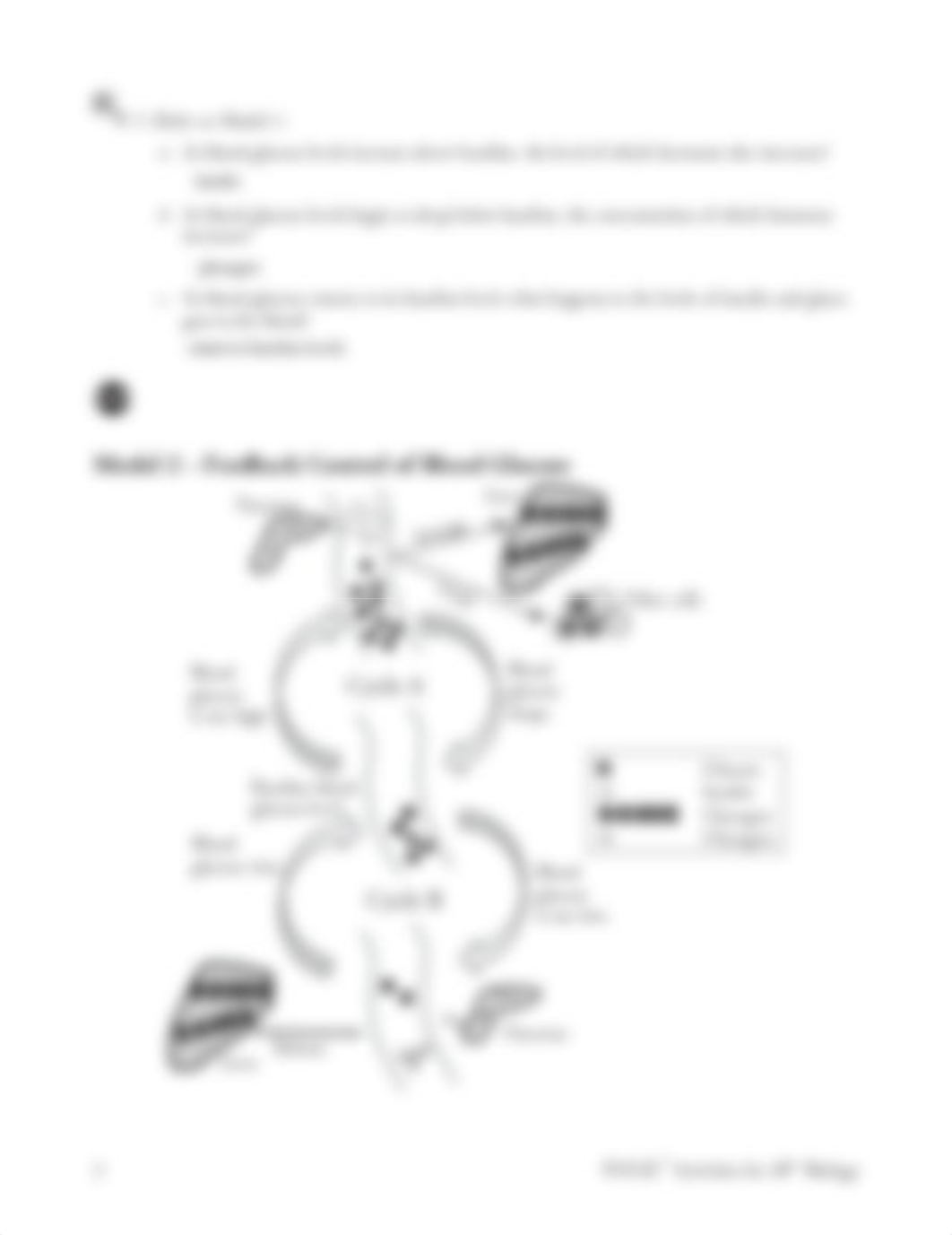 Kami Export - 28 Control of Blood Sugar Levels-S.pdf_d0ezmvt9z6p_page2