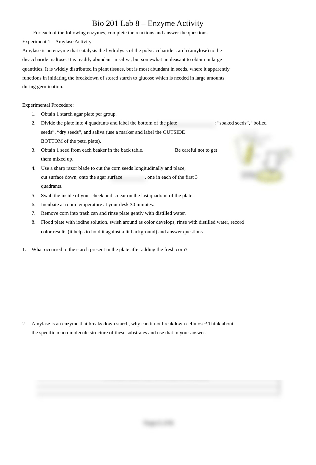 Lab 8 - Enzyme Activity Marly Versendaal.docx_d0f6b3ns458_page1