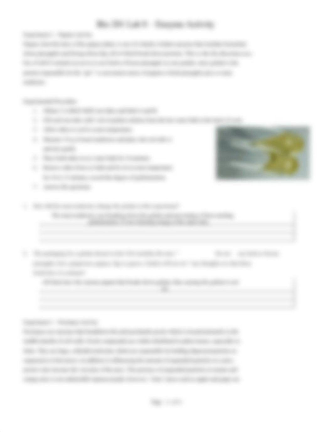 Lab 8 - Enzyme Activity Marly Versendaal.docx_d0f6b3ns458_page2