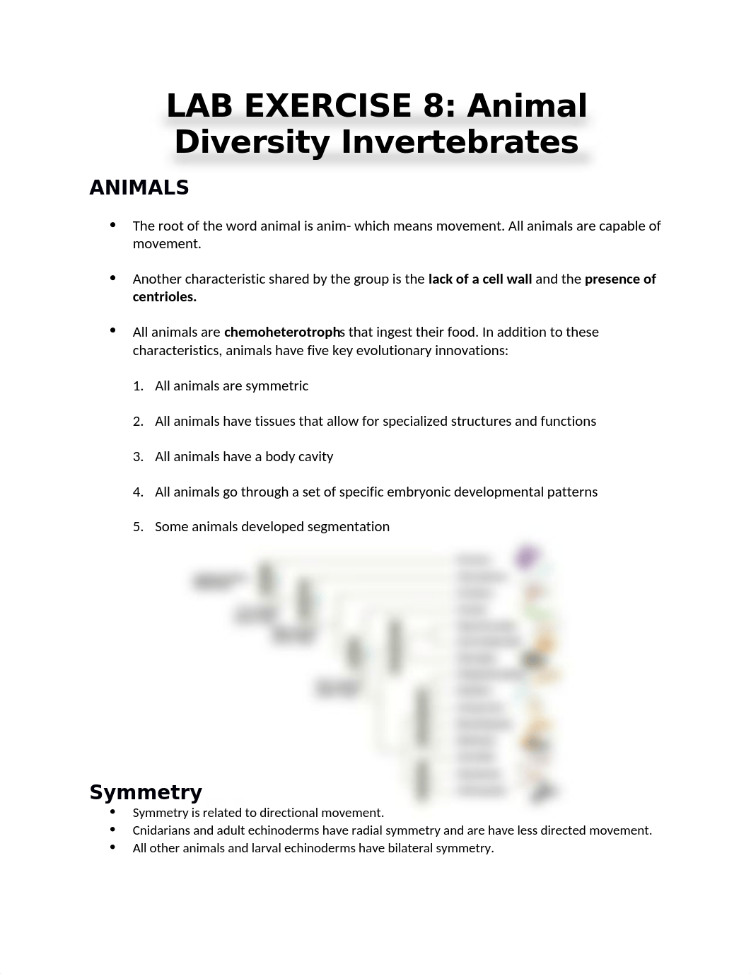 LAB EXERCISE 8 Animal Diversity Invertebrates.docx_d0fdtz8q3bj_page1