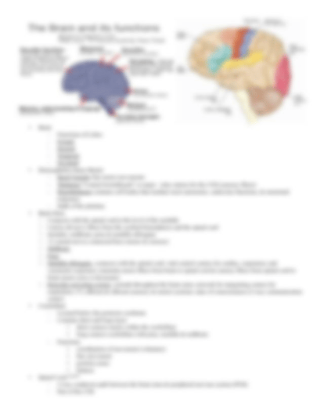 nervous system.docx_d0ffsjtpst9_page3