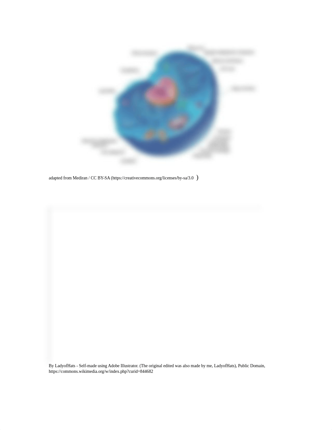 Cell Structure Virtual Lab - Lab Report (1).docx_d0fhub7l9km_page2