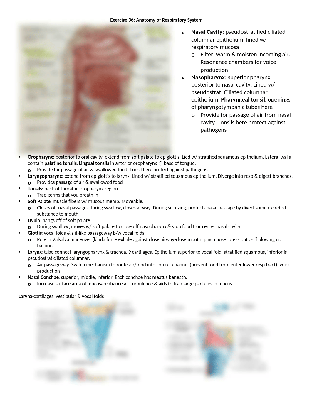 Lab exam 2.docx_d0fpsl1uftj_page1