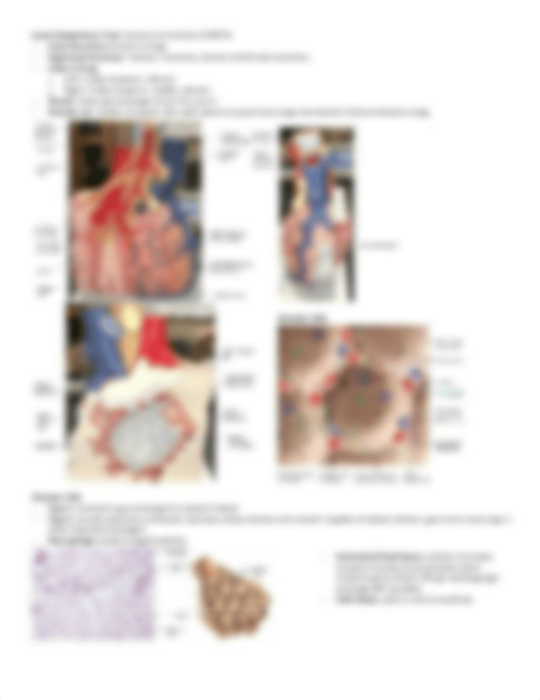 Lab exam 2.docx_d0fpsl1uftj_page3