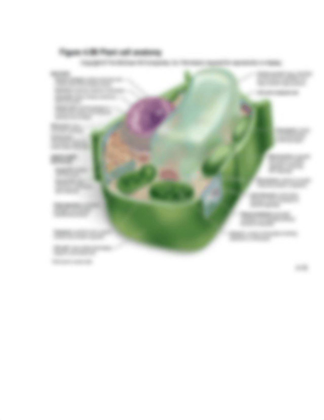 labfinalstudyguide_d0ftgmil5wl_page4