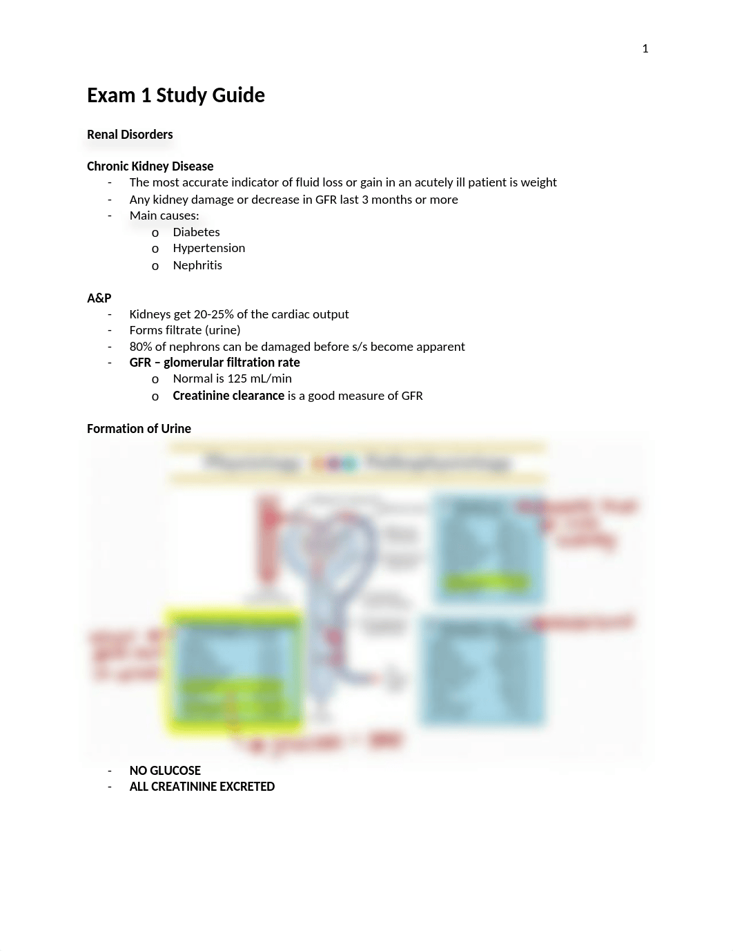 Exam 1 Study Guide.docx_d0ftjshpuvm_page1