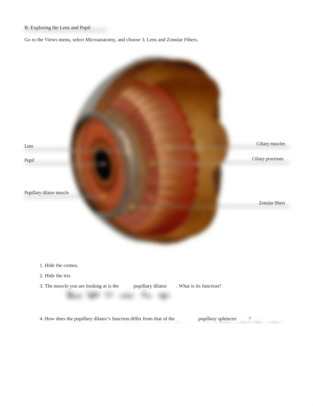 Vision_lab_.pdf_d0fyvpguxam_page4